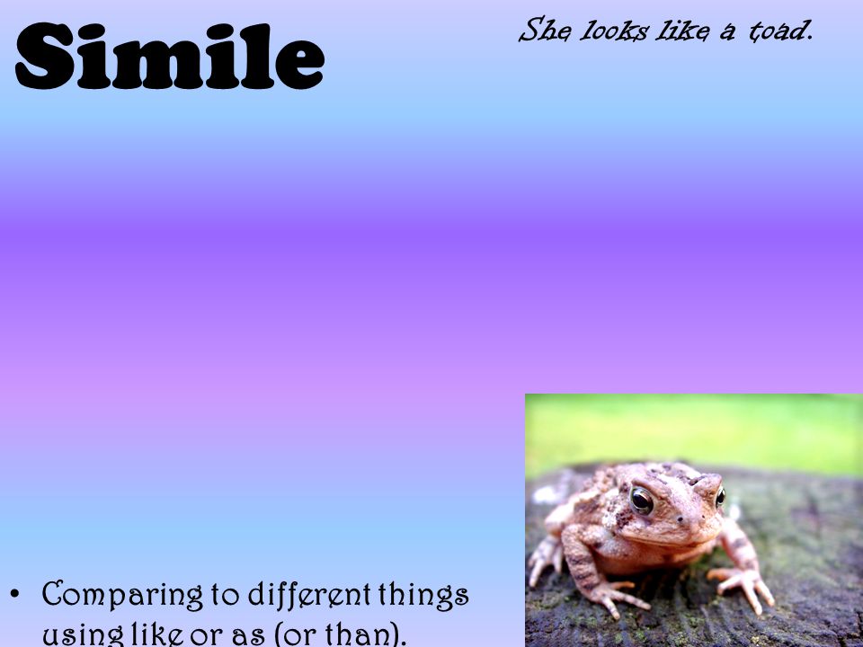 Simile Comparing to different things using like or as (or than). She looks like a toad.