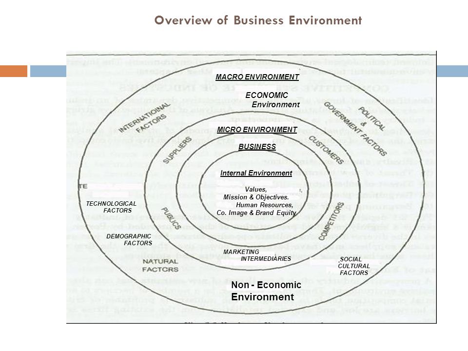 micro and macro business environment