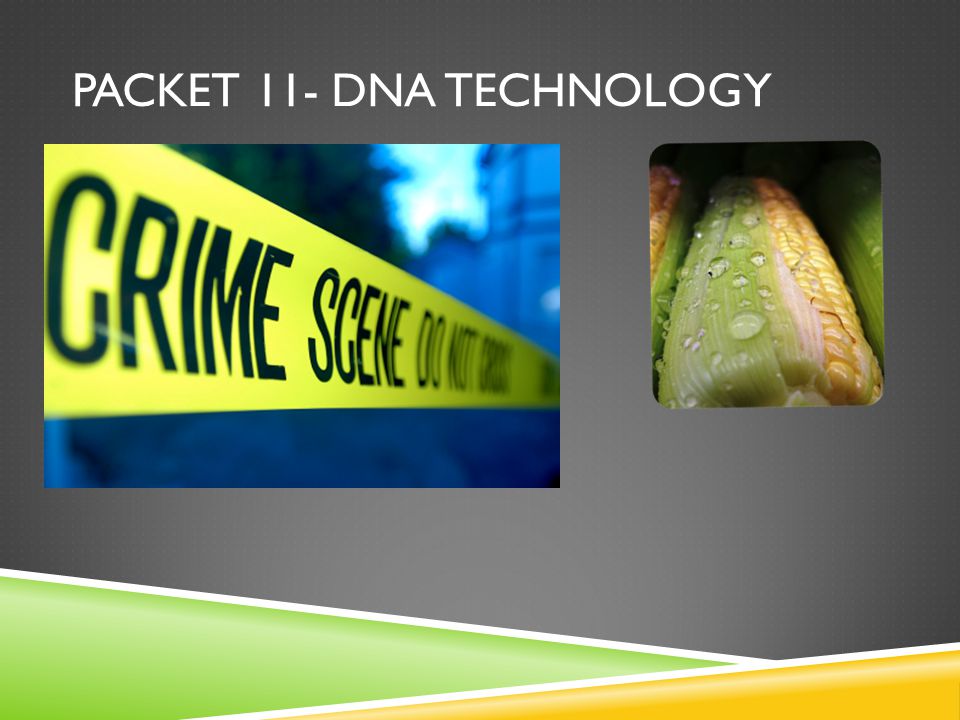 PACKET 11- DNA TECHNOLOGY