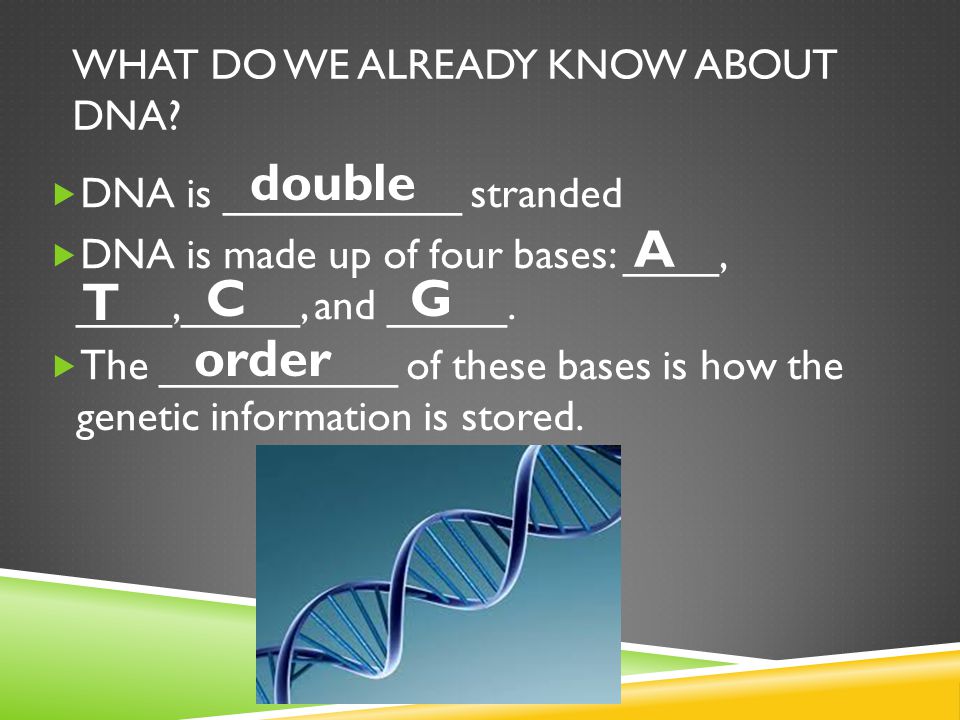 WHAT DO WE ALREADY KNOW ABOUT DNA.