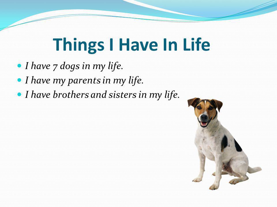 Things I Have In Life I have 7 dogs in my life. I have my parents in my life.