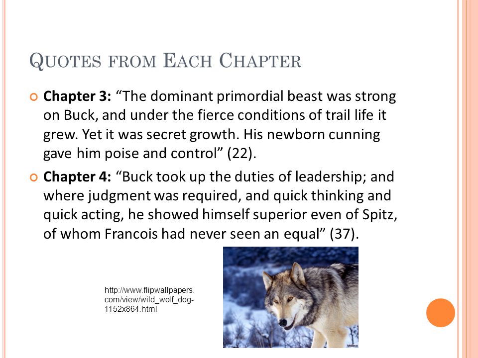 The Call Of The Wild Jack London Quotes And Themes Hannah W And Kyle L 2 Call Of The Wild Cover Jpg Ppt Download The Call Of The Wild Jack London Quotes And Themes Hannah W And Kyle L 2 Call Of The Wild Cover Jpg Ppt Download