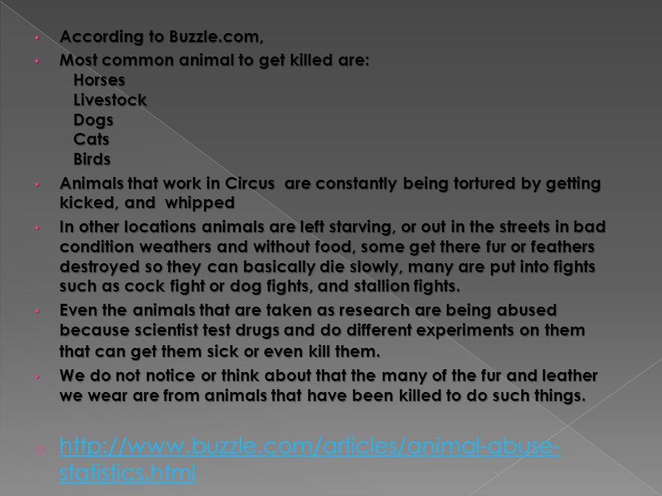 According to Buzzle.com, According to Buzzle.com, Most common animal to get killed are: Horses Livestock Dogs Cats Birds Most common animal to get killed are: Horses Livestock Dogs Cats Birds Animals that work in Circus are constantly being tortured by getting kicked, and whipped Animals that work in Circus are constantly being tortured by getting kicked, and whipped In other locations animals are left starving, or out in the streets in bad condition weathers and without food, some get there fur or feathers destroyed so they can basically die slowly, many are put into fights such as cock fight or dog fights, and stallion fights.