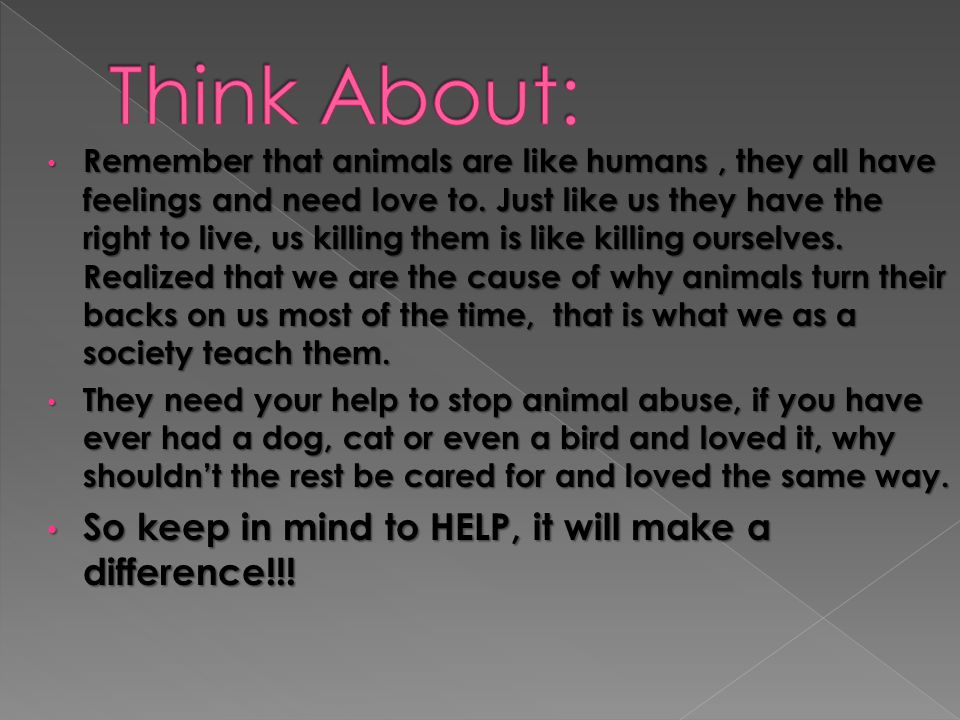 Remember that animals are like humans, they all have feelings and need love to.