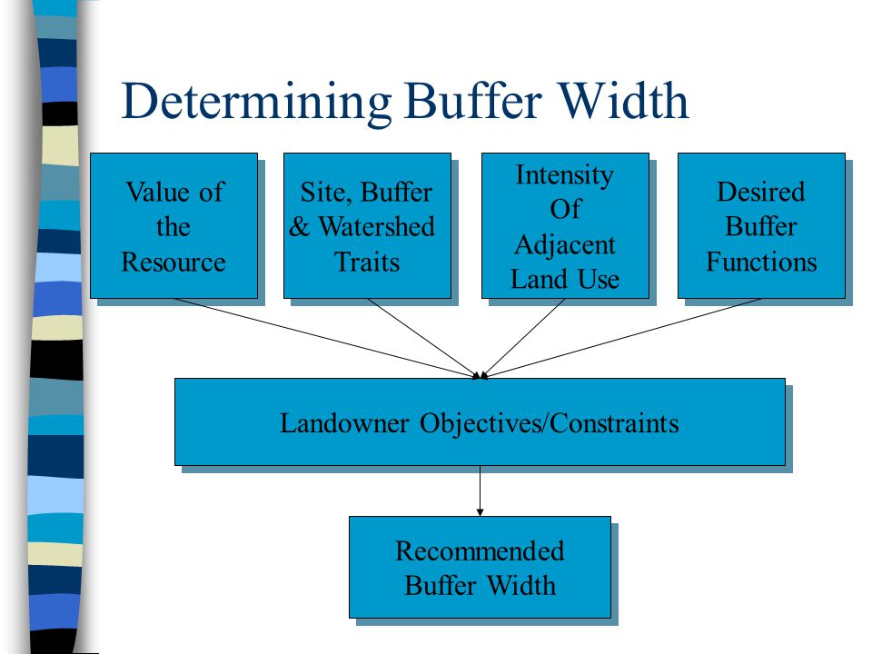 Determining Buffer Width Value of the Resource Value of the Resource Site, Buffer & Watershed Traits Site, Buffer & Watershed Traits Intensity Of Adjacent Land Use Intensity Of Adjacent Land Use Desired Buffer Functions Desired Buffer Functions Landowner Objectives/Constraints Recommended Buffer Width Recommended Buffer Width