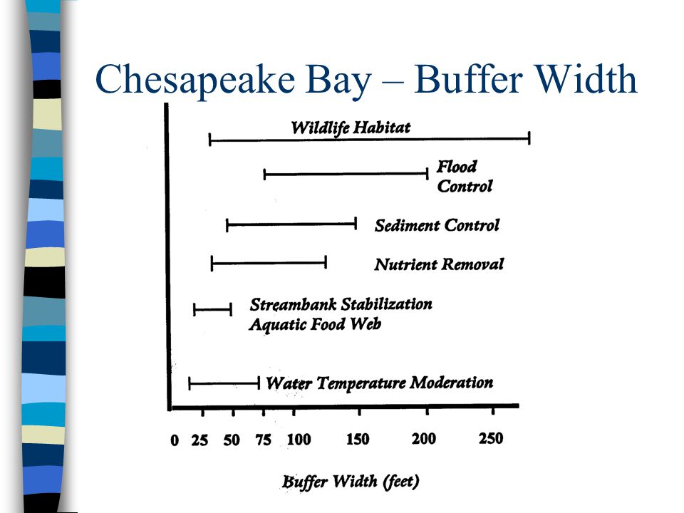 Chesapeake Bay – Buffer Width
