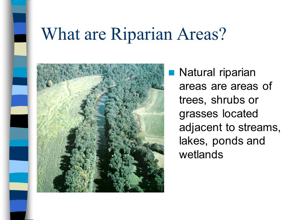 What are Riparian Areas.