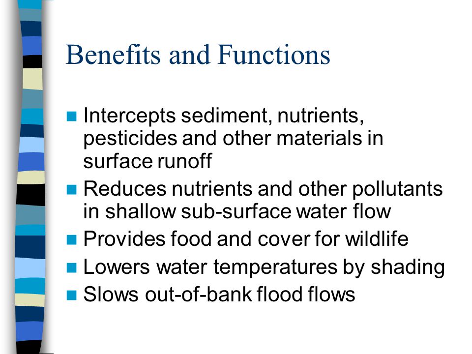 Benefits and Functions Intercepts sediment, nutrients, pesticides and other materials in surface runoff Reduces nutrients and other pollutants in shallow sub-surface water flow Provides food and cover for wildlife Lowers water temperatures by shading Slows out-of-bank flood flows