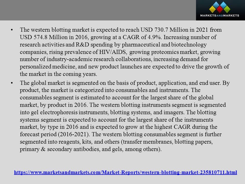The western blotting market is expected to reach USD Million in 2021 from USD Million in 2016, growing at a CAGR of 4.9%.