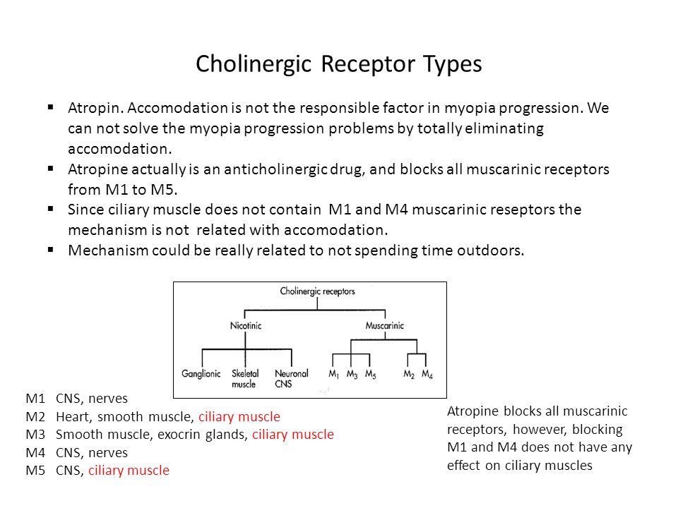 Cholinergic Receptor Types M1 CNS, nerves M2 Heart, smooth muscle, ciliary muscle M3 Smooth muscle, exocrin glands, ciliary muscle M4 CNS, nerves M5 CNS, ciliary muscle Atropine blocks all muscarinic receptors, however, blocking M1 and M4 does not have any effect on ciliary muscles  Atropin.