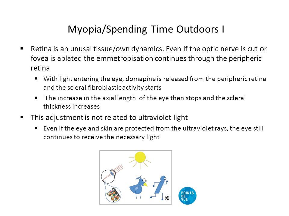 Myopia/Spending Time Outdoors I  Retina is an unusal tissue/own dynamics.