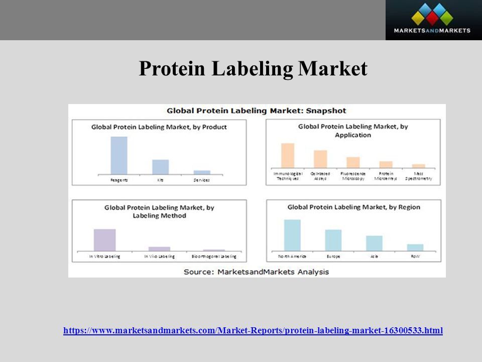 Protein Labeling Market