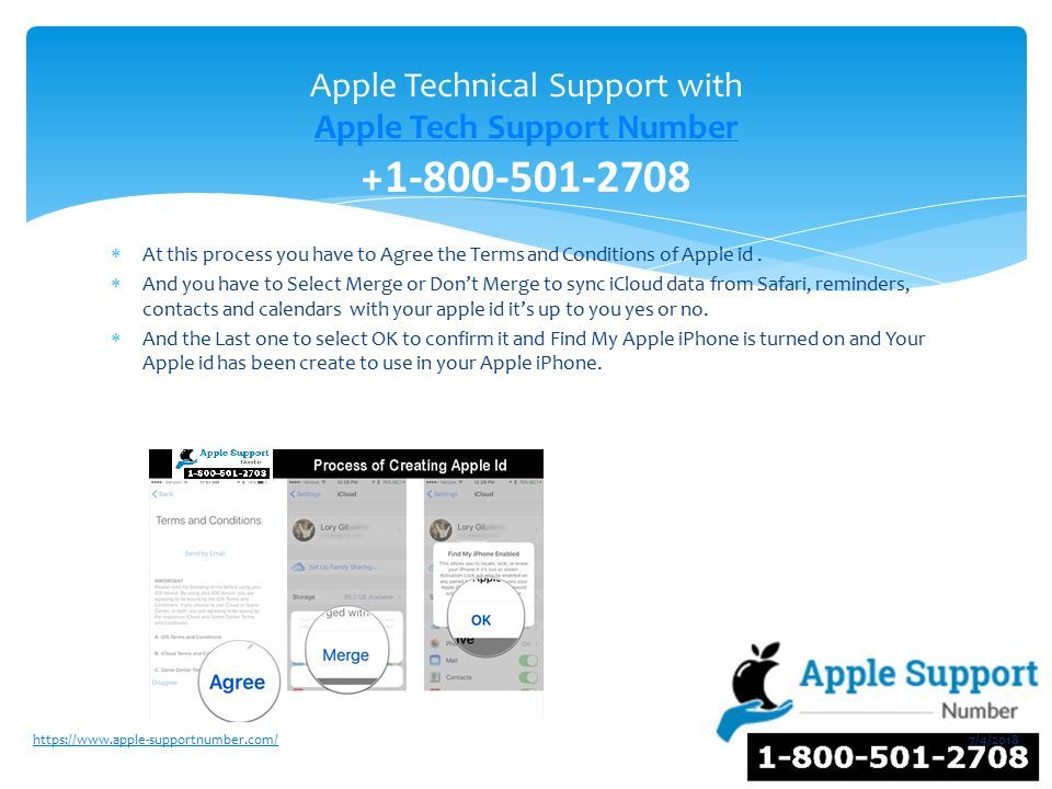 1800 my apple toll free 1800 my apple toll free