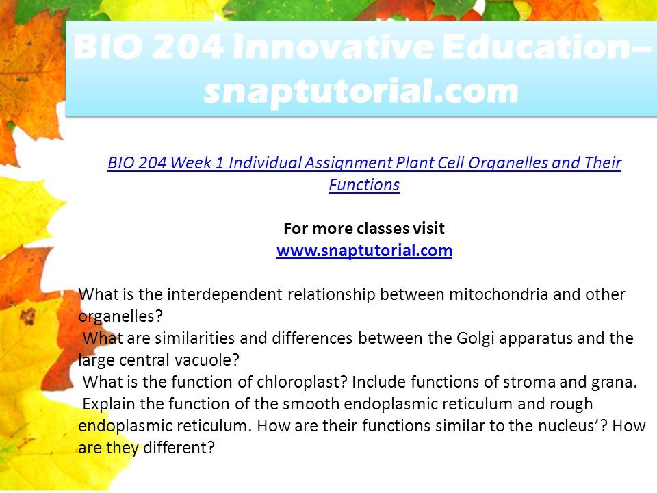 Bio 204 innovative education snaptutorial ppt download