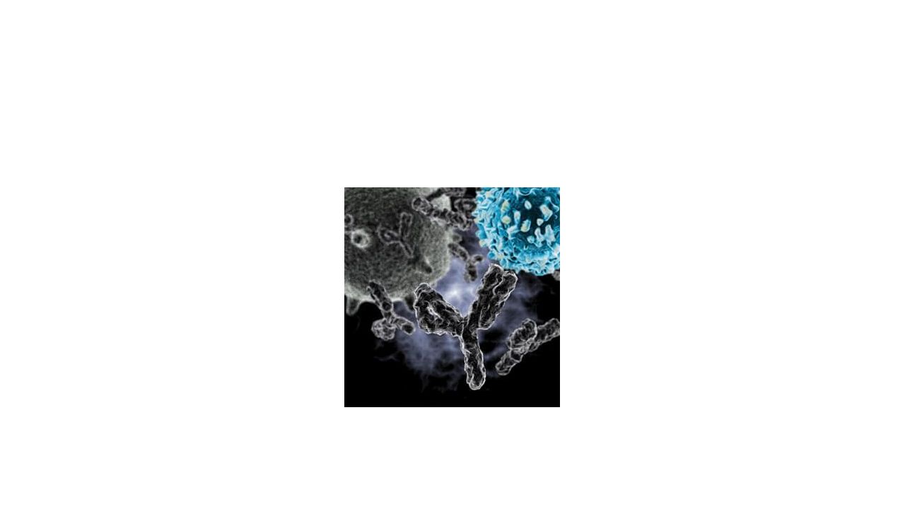 Biosimilar Monoclonal Antibodies Creative Biolabs Is A Specialized ...