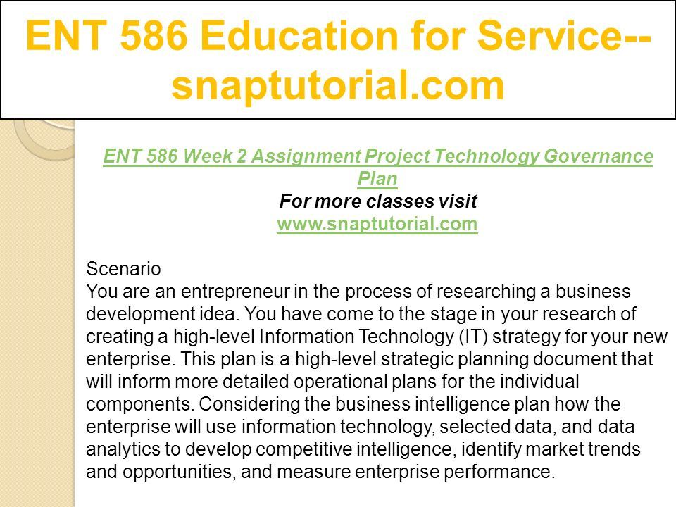 ENT 586 Week 2 Assignment Project Technology Governance Plan For more classes visit   Scenario You are an entrepreneur in the process of researching a business development idea.