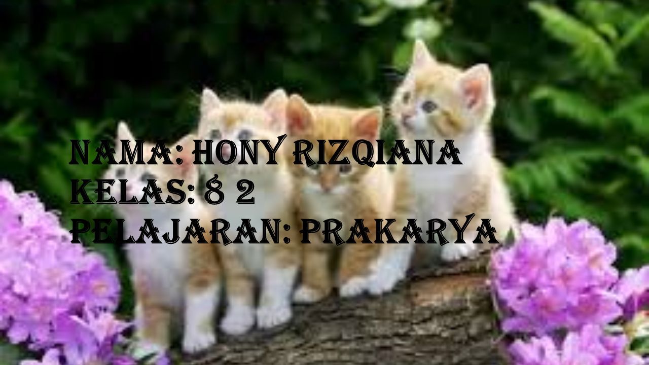 Nama: Hony rizqiana kelas: 8 2 pelajaran: prakarya