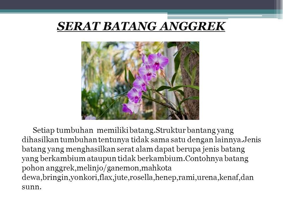 Tugas 3 Prakarya Nama Nurul Hidayah Kelas Vii 5 Sekolah Smp Negeri 48 Jakarta Pengertian Serat Dan Cara Pengolahannya Ppt Download