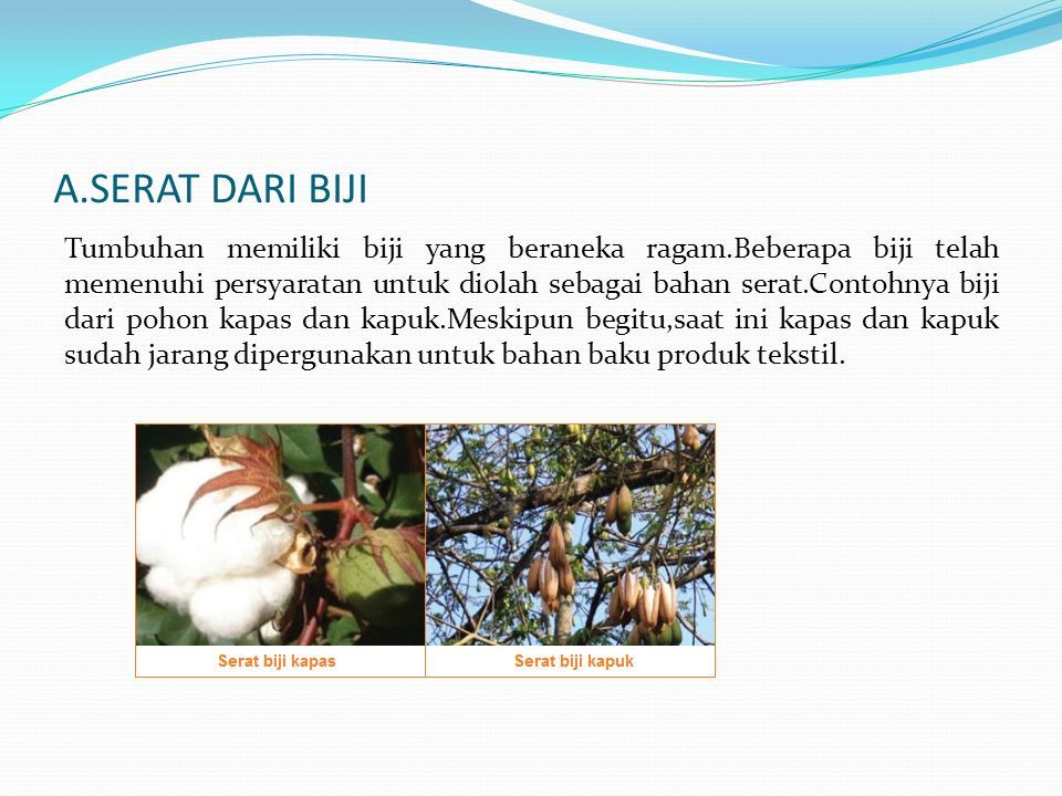 Bahan Serat Adalah Suatu Jenis Bahan Berupa Potongan Potongan Komponen Yang Menbentuk Jaringan Memanjang Yang Utuh Menurut Kamu Bahasa Indonesia Serat Ppt Download