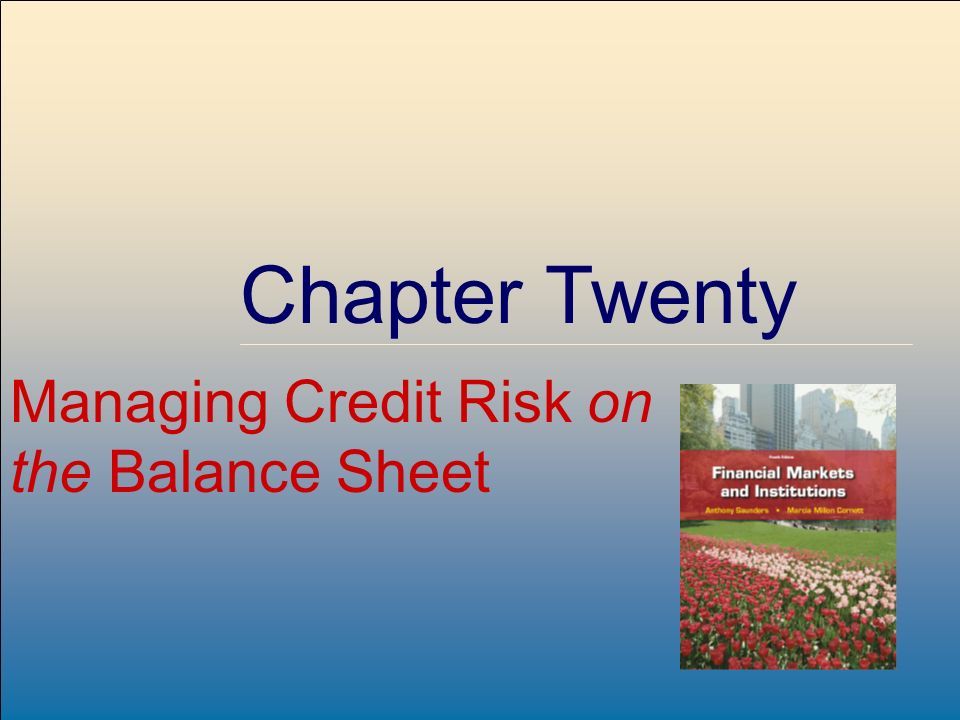 ©2009, The McGraw-Hill Companies, All Rights Reserved 8-1 McGraw-Hill/Irwin Chapter Twenty Managing Credit Risk on the Balance Sheet