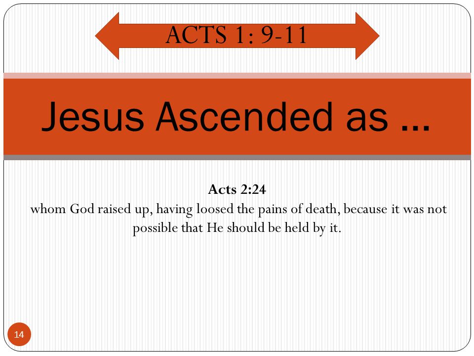 14 Jesus Ascended as … ACTS 1: 9-11 Acts 2:24 whom God raised up, having loosed the pains of death, because it was not possible that He should be held by it.