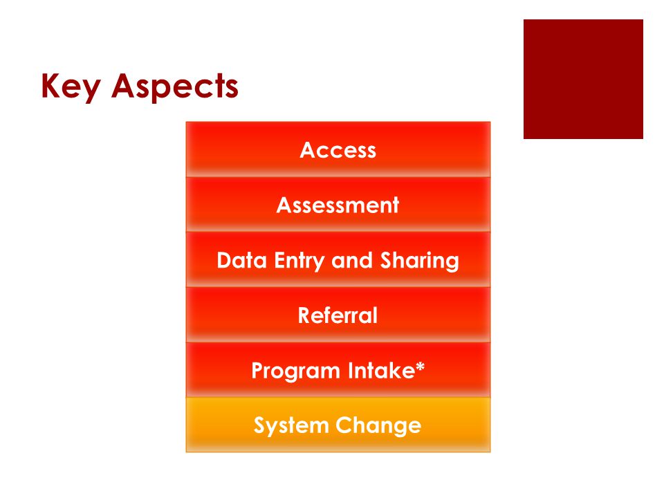 Access Assessment Data Entry and Sharing Referral Program Intake* System Change