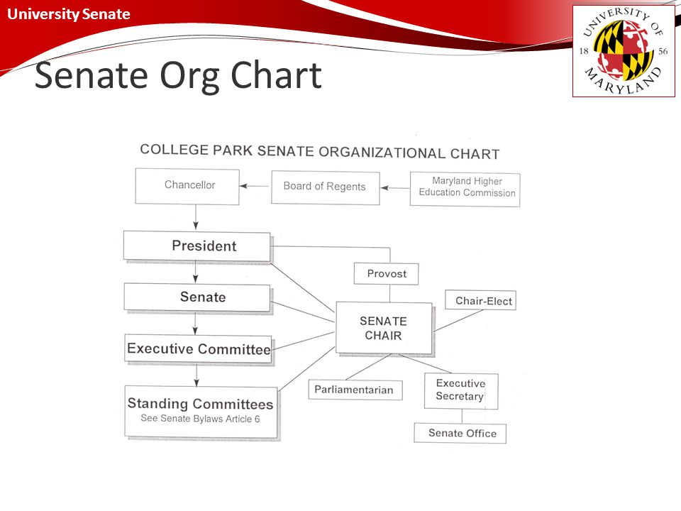 University Of Maryland Organizational Chart
