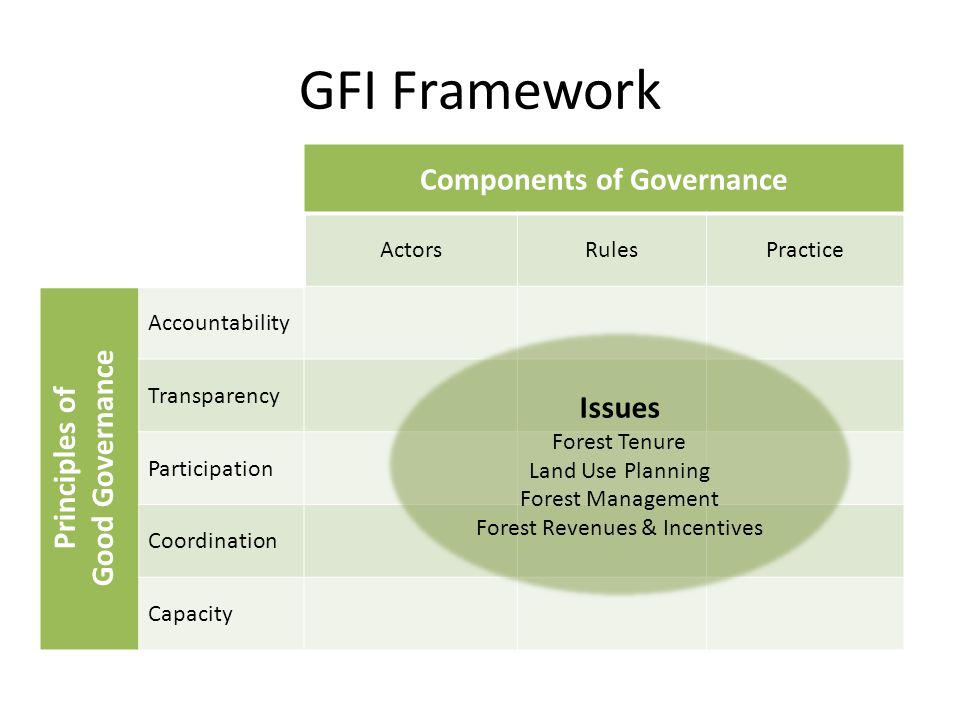 Components of Governance ActorsRulesPractice Accountability Transparency Participation Coordination Capacity GFI Framework Principles of Good Governance Issues Forest Tenure Land Use Planning Forest Management Forest Revenues & Incentives