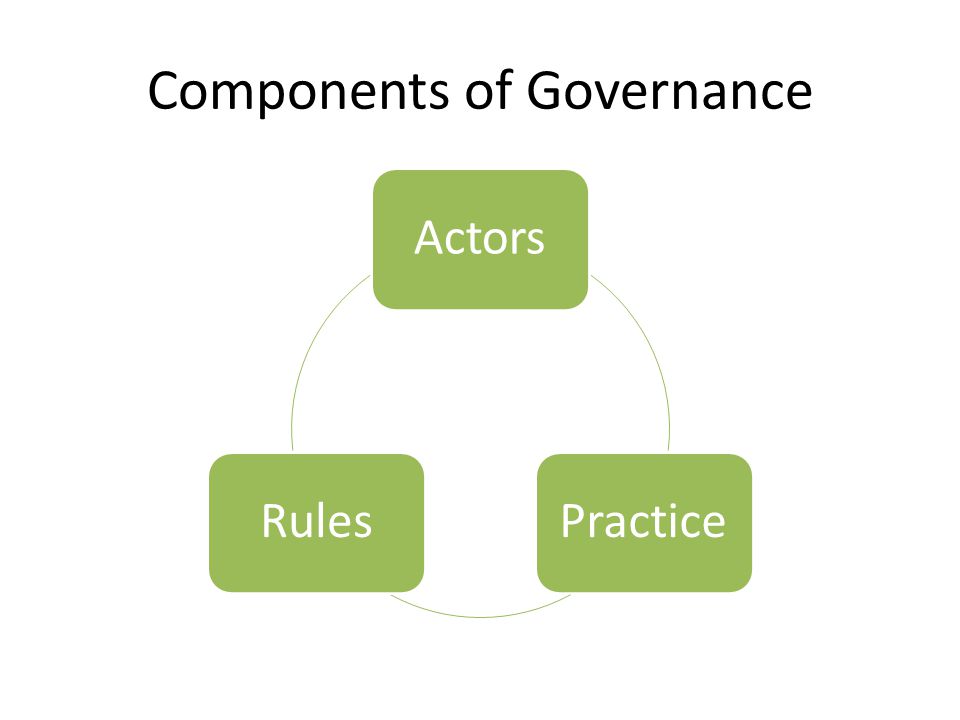 Components of Governance ActorsPracticeRules