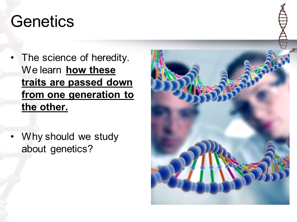 Genetics The science of heredity.