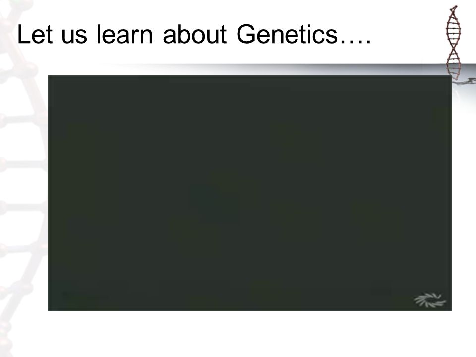 Let us learn about Genetics….
