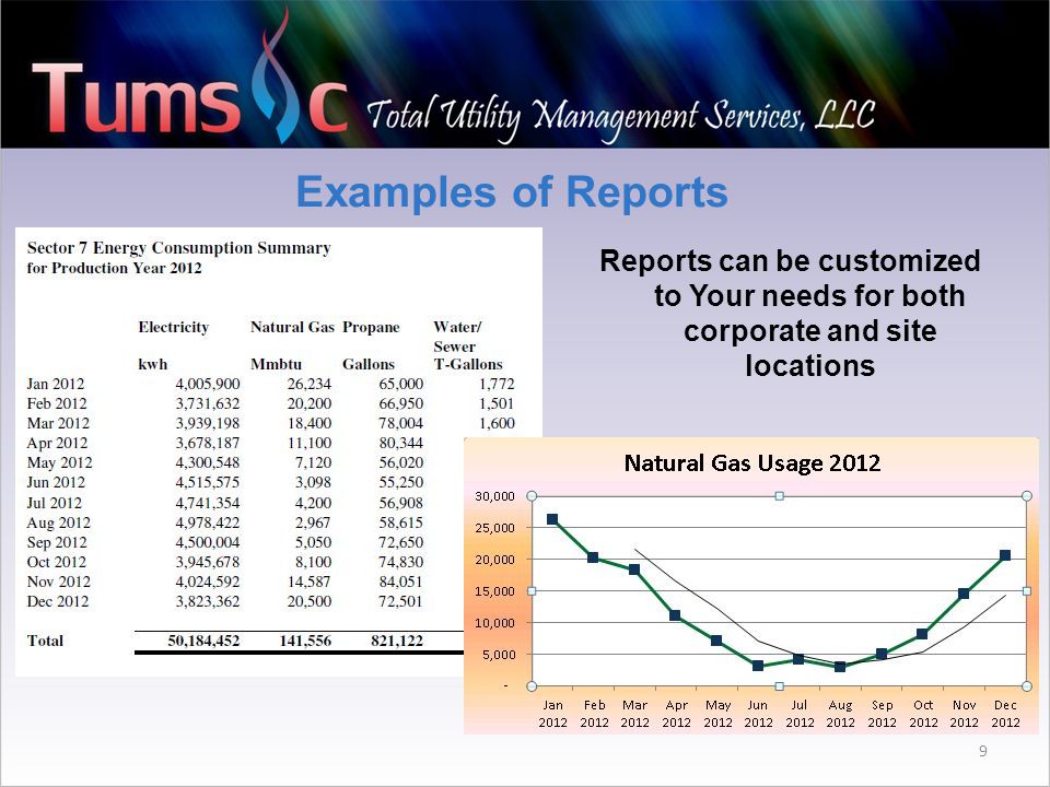 9 Examples of Reports Reports can be customized to Your needs for both corporate and site locations
