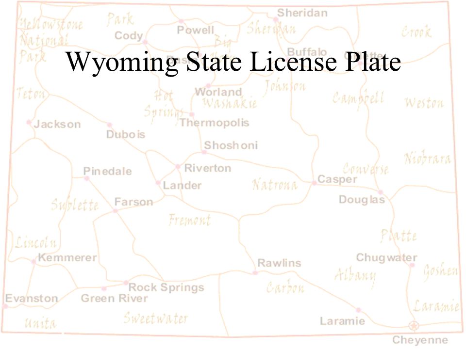 Barb Austin LCSD#1 Wyoming State License Plate