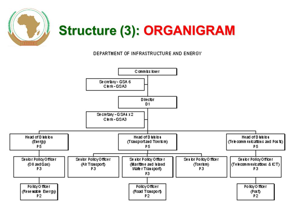 Structure (3): ORGANIGRAM