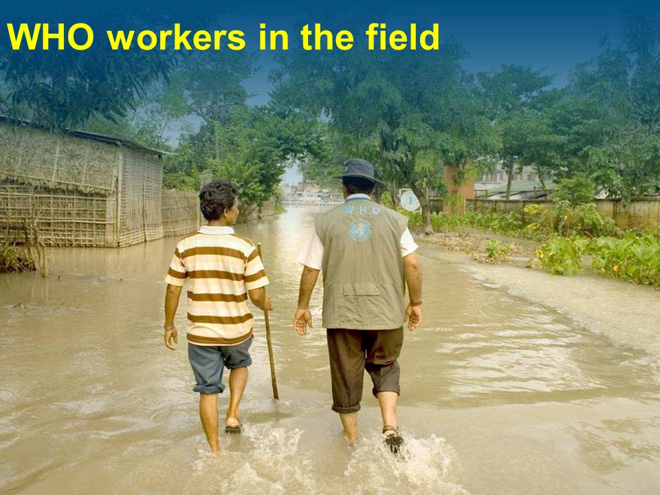WHO workers in the field
