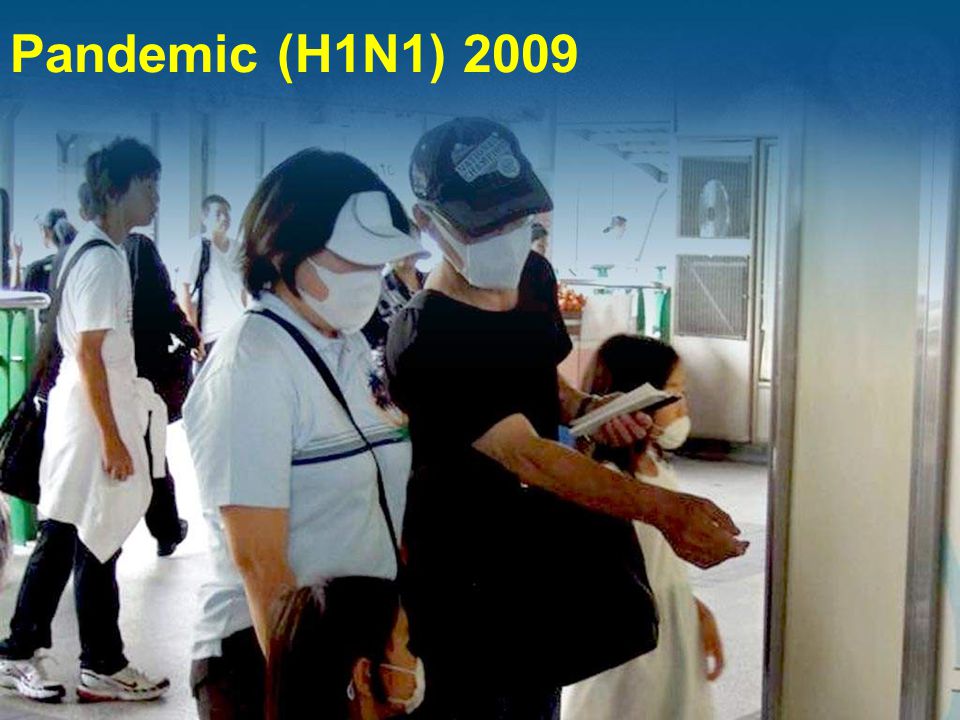 Pandemic (H1N1) 2009