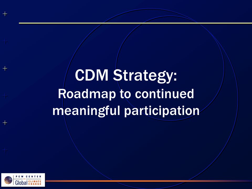 CDM Strategy: Roadmap to continued meaningful participation