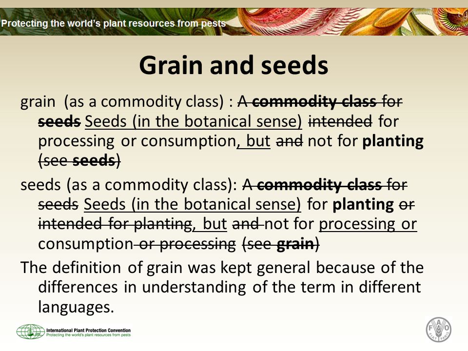Grain and seeds grain (as a commodity class) : A commodity class for seeds Seeds (in the botanical sense) intended for processing or consumption, but and not for planting (see seeds) seeds (as a commodity class): A commodity class for seeds Seeds (in the botanical sense) for planting or intended for planting, but and not for processing or consumption or processing (see grain) The definition of grain was kept general because of the differences in understanding of the term in different languages.