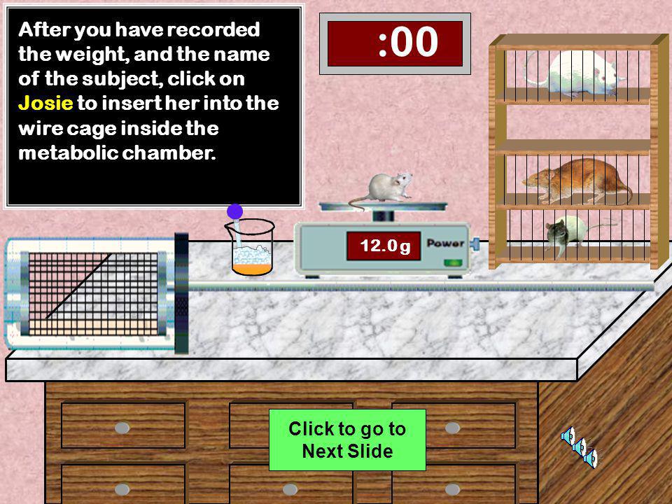 :00 There are four rats in the rack. Select one of the rats by clicking on it.
