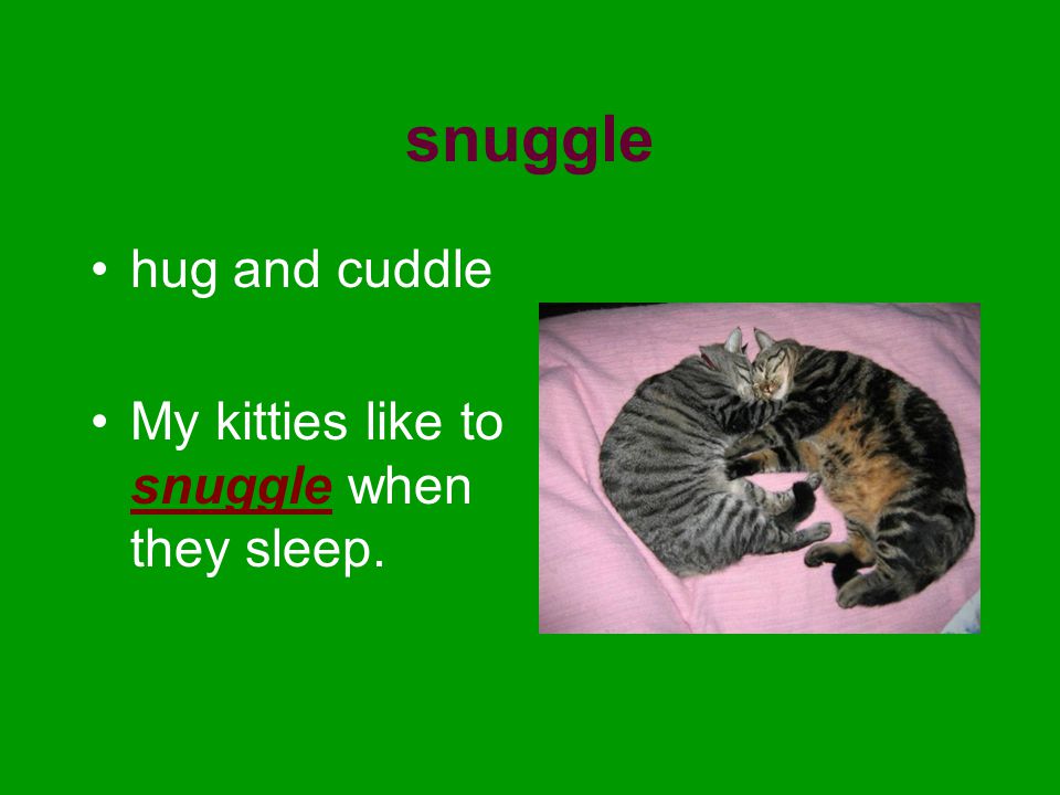 snuggle hug and cuddle My kitties like to snuggle when they sleep.