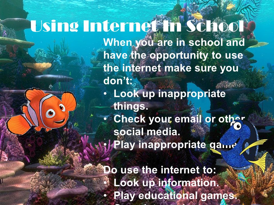 Using Internet In School When you are in school and have the opportunity to use the internet make sure you don’t: Look up inappropriate things.