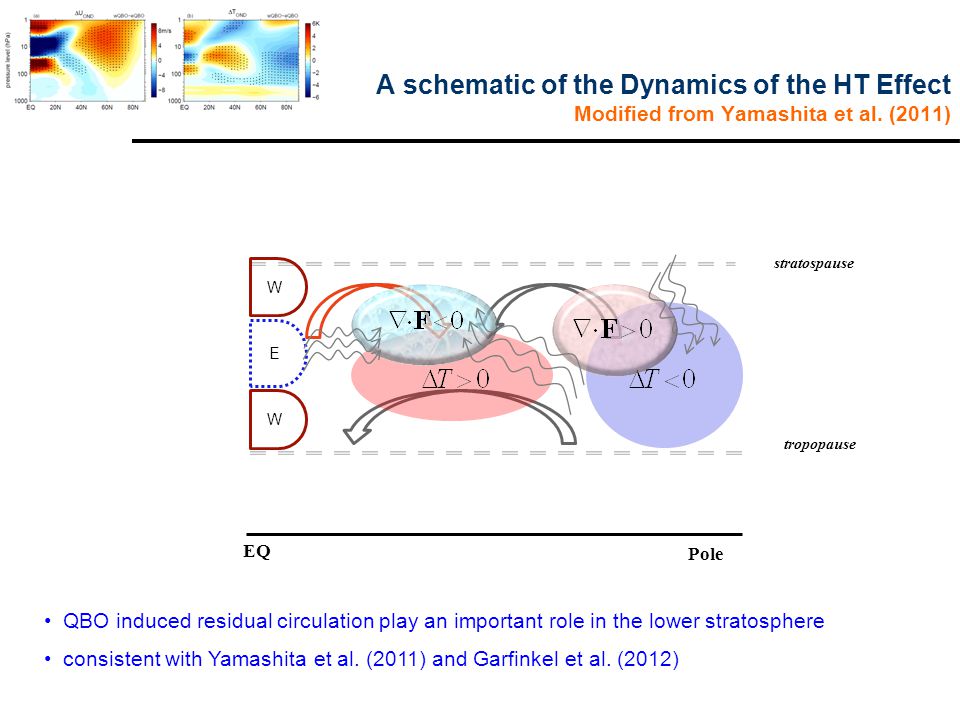 A schematic of the Dynamics of the HT Effect Modified from Yamashita et al.