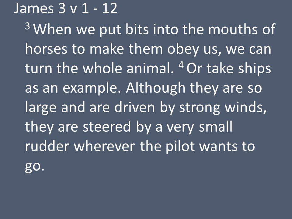 James 3 v When we put bits into the mouths of horses to make them obey us, we can turn the whole animal.