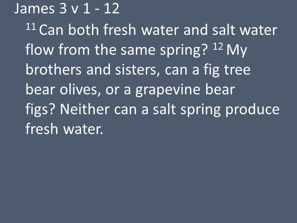 James 3 v Can both fresh water and salt water flow from the same spring.
