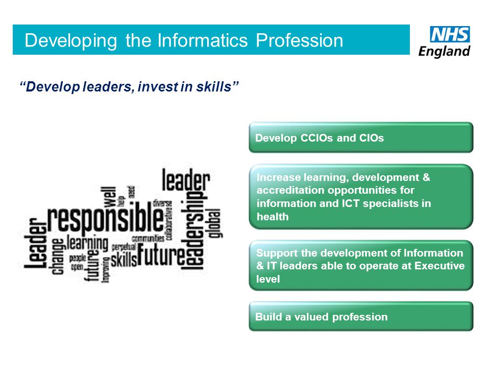 Developing the Informatics Profession Develop leaders, invest in skills Develop CCIOs and CIOs Increase learning, development & accreditation opportunities for information and ICT specialists in health Support the development of Information & IT leaders able to operate at Executive level Build a valued profession