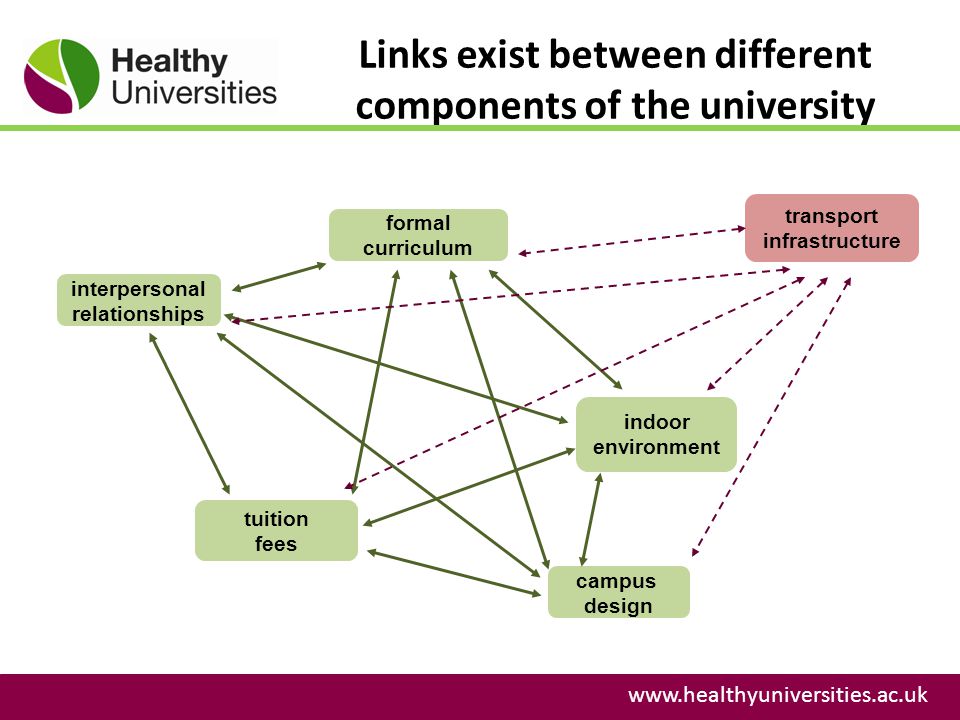 Links exist between different components of the university   formal curriculum interpersonal relationships tuition fees campus design indoor environment transport infrastructure