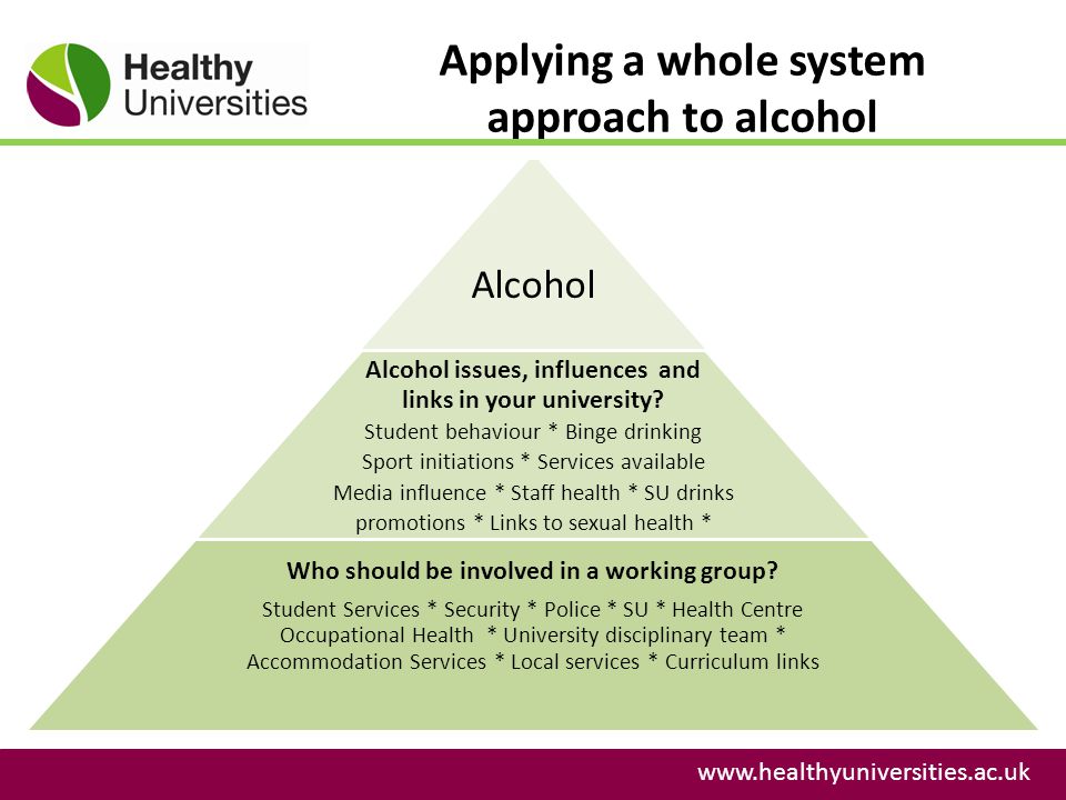 Applying a whole system approach to alcohol   Alcohol Alcohol issues, influences and links in your university.
