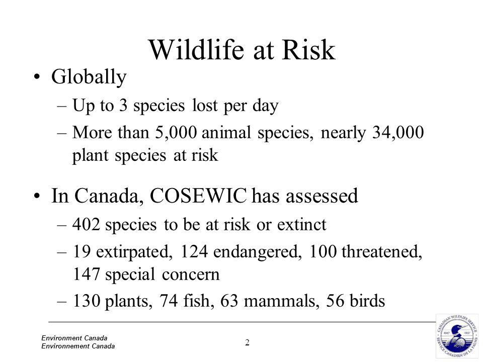 2 Environment Canada Environnement Canada Wildlife at Risk Globally –Up to 3 species lost per day –More than 5,000 animal species, nearly 34,000 plant species at risk In Canada, COSEWIC has assessed –402 species to be at risk or extinct –19 extirpated, 124 endangered, 100 threatened, 147 special concern –130 plants, 74 fish, 63 mammals, 56 birds