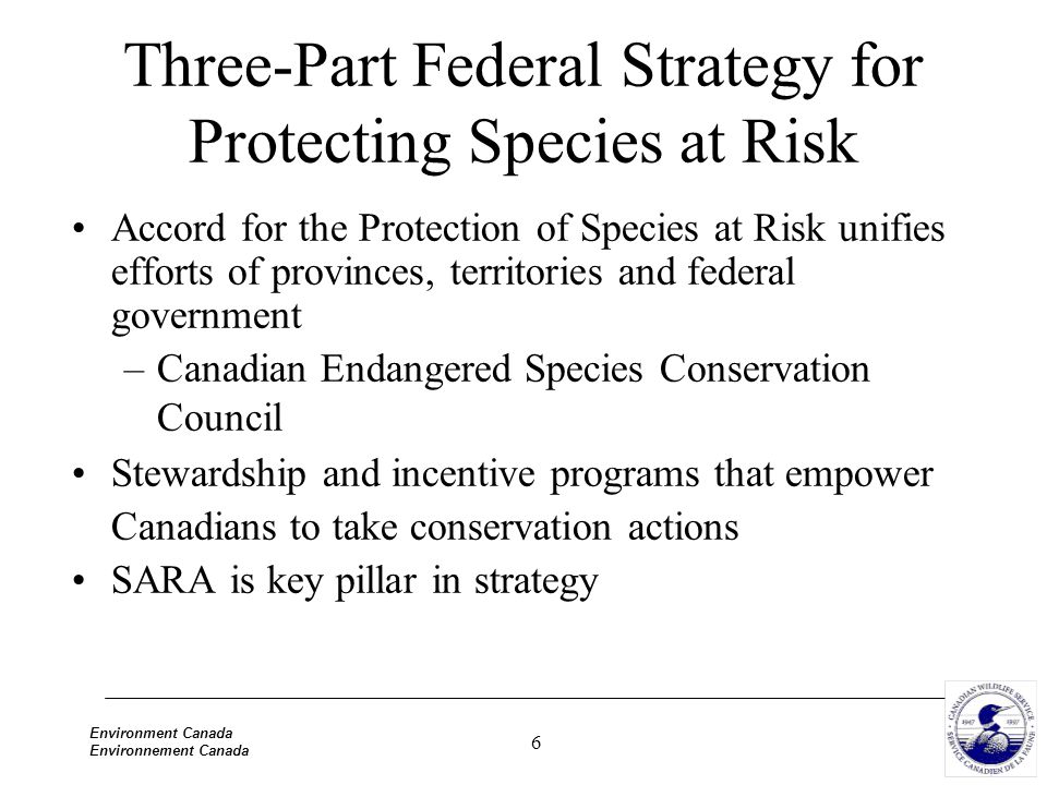 6 Environment Canada Environnement Canada Three-Part Federal Strategy for Protecting Species at Risk Accord for the Protection of Species at Risk unifies efforts of provinces, territories and federal government –Canadian Endangered Species Conservation Council Stewardship and incentive programs that empower Canadians to take conservation actions SARA is key pillar in strategy