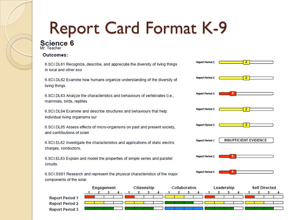 Report Card Format K-9
